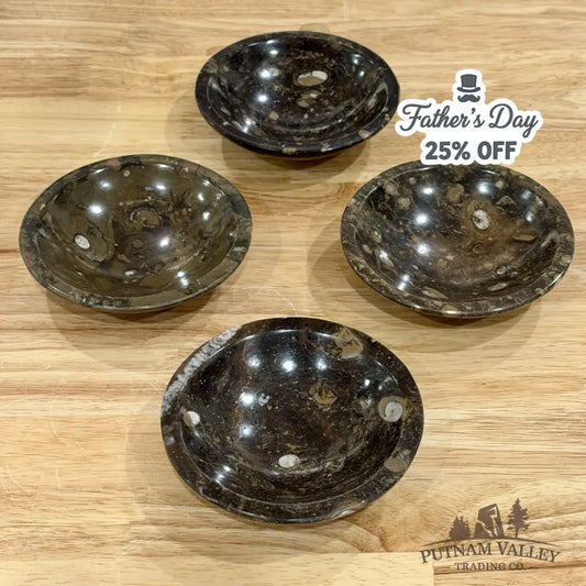 Brown Orthoceras Fossil Bowls 4.5’’ - Fossil Bowl