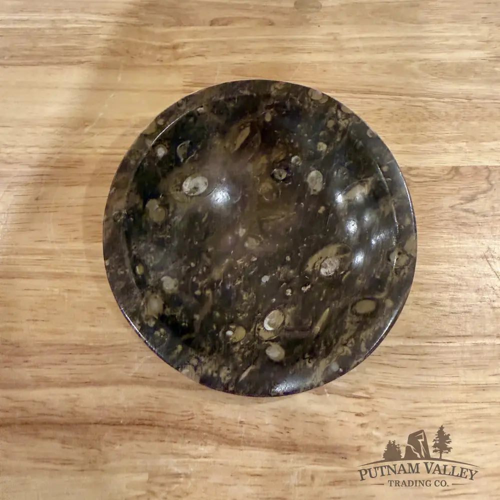 Brown Orthoceras Fossil Bowls 4.5’’ - Fossil Bowl