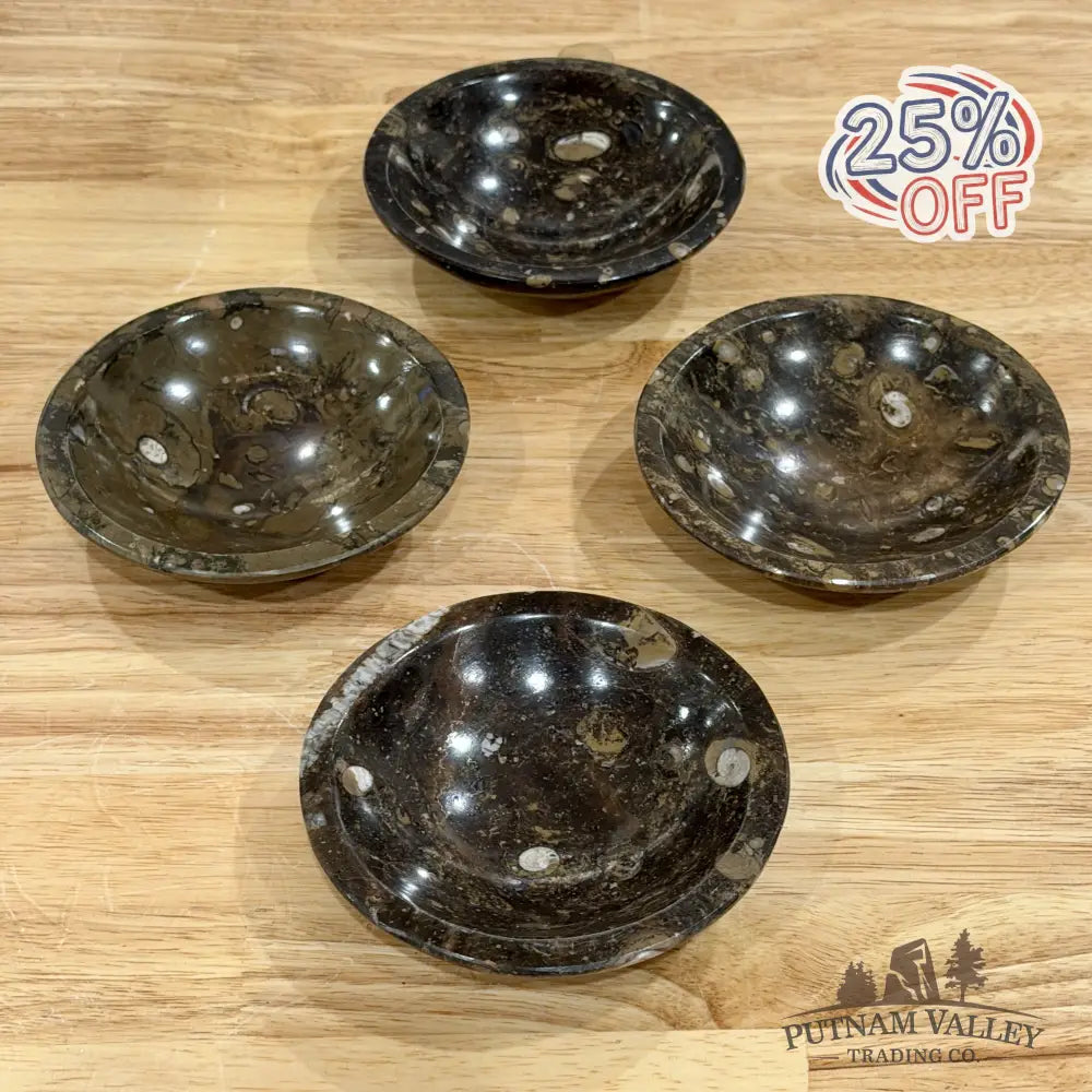 Brown Orthoceras Fossil Bowls 4.5’’ - Fossil Bowl