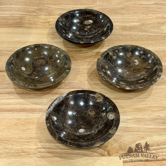 Brown Orthoceras Fossil Bowls 4.5’’ - Fossil Bowl
