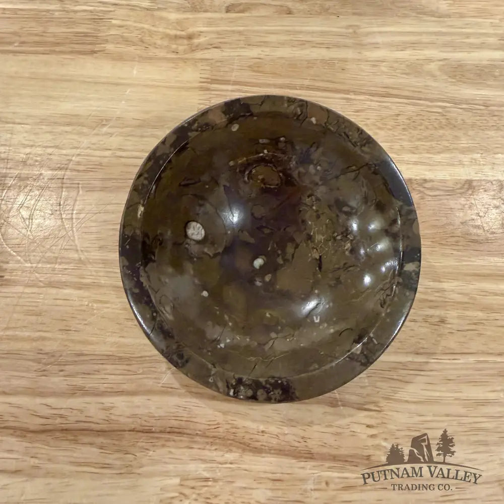 Brown Orthoceras Fossil Bowls 4.5’’ - Fossil Bowl