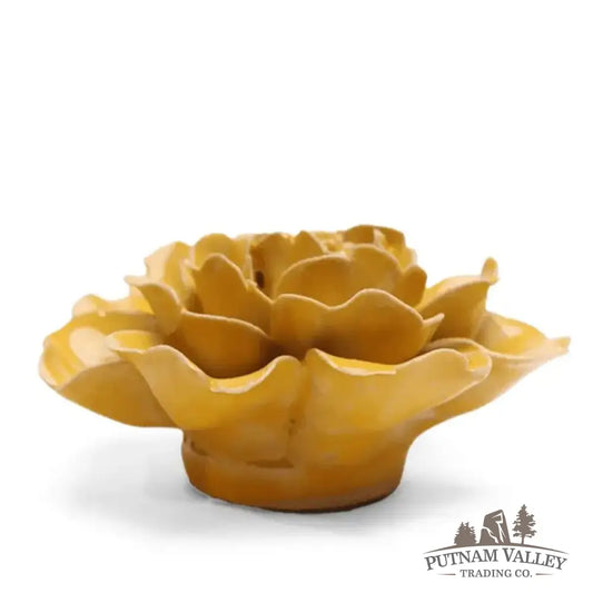 Buttercup Wild Rose – 3¾’ Accent