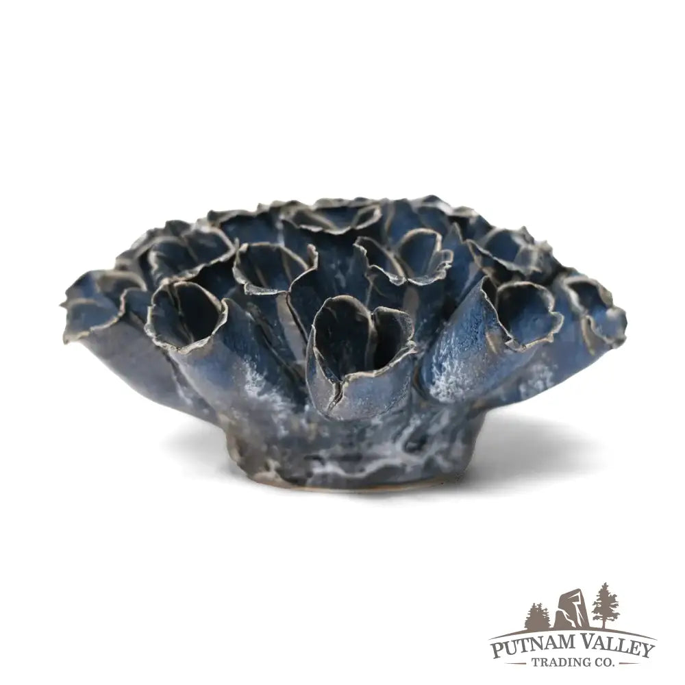 Sea Polyp Blue Grey Accent