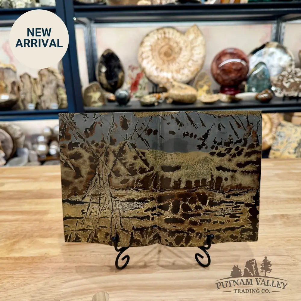 Chinese Picture Jasper Book Carving + Stand - Accent