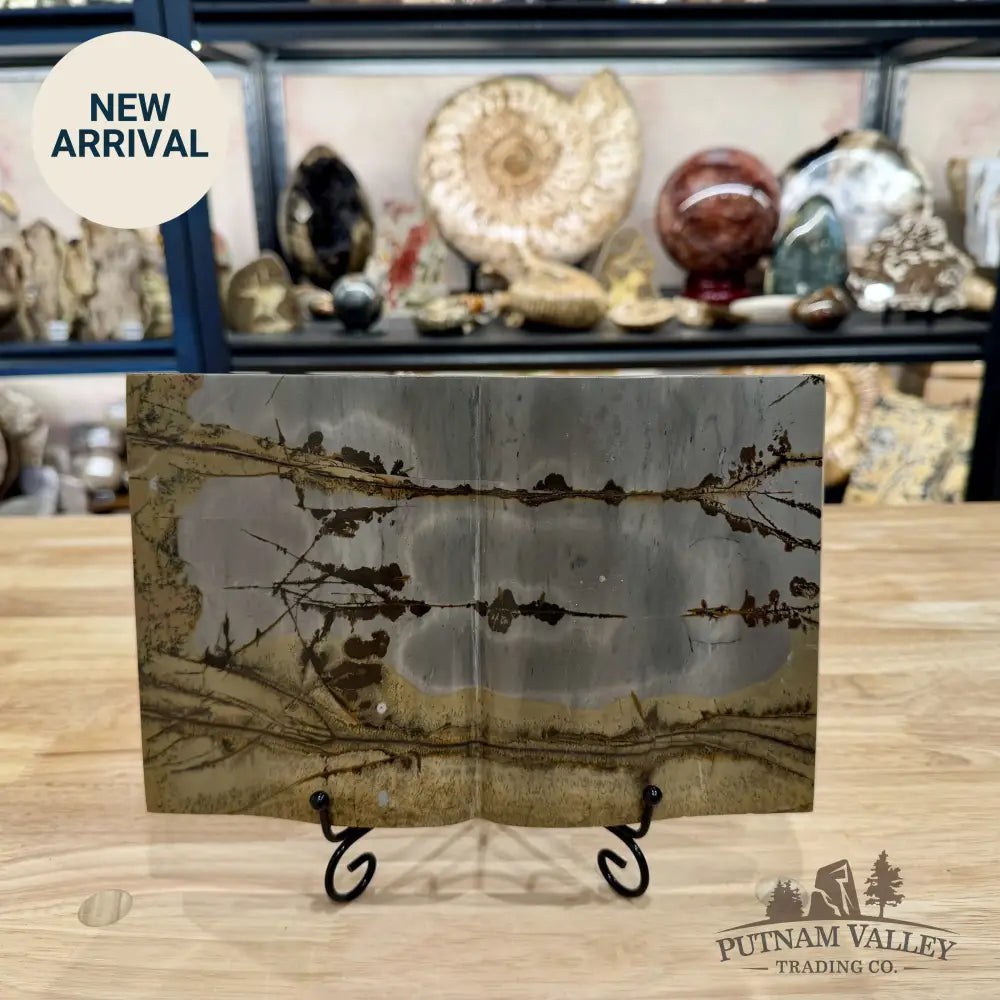 Chinese Picture Jasper Book Carving + Stand - Accent