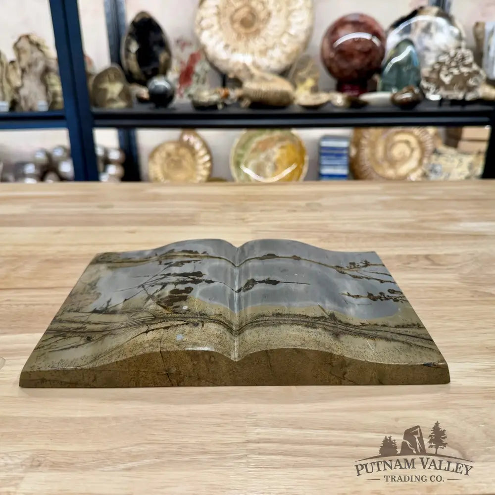 Chinese Picture Jasper Book Carving + Stand - Accent