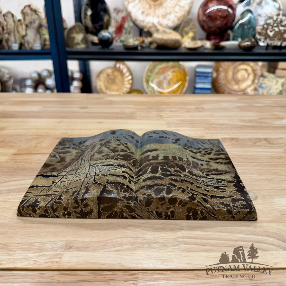 Chinese Picture Jasper Book Carving + Stand - Accent