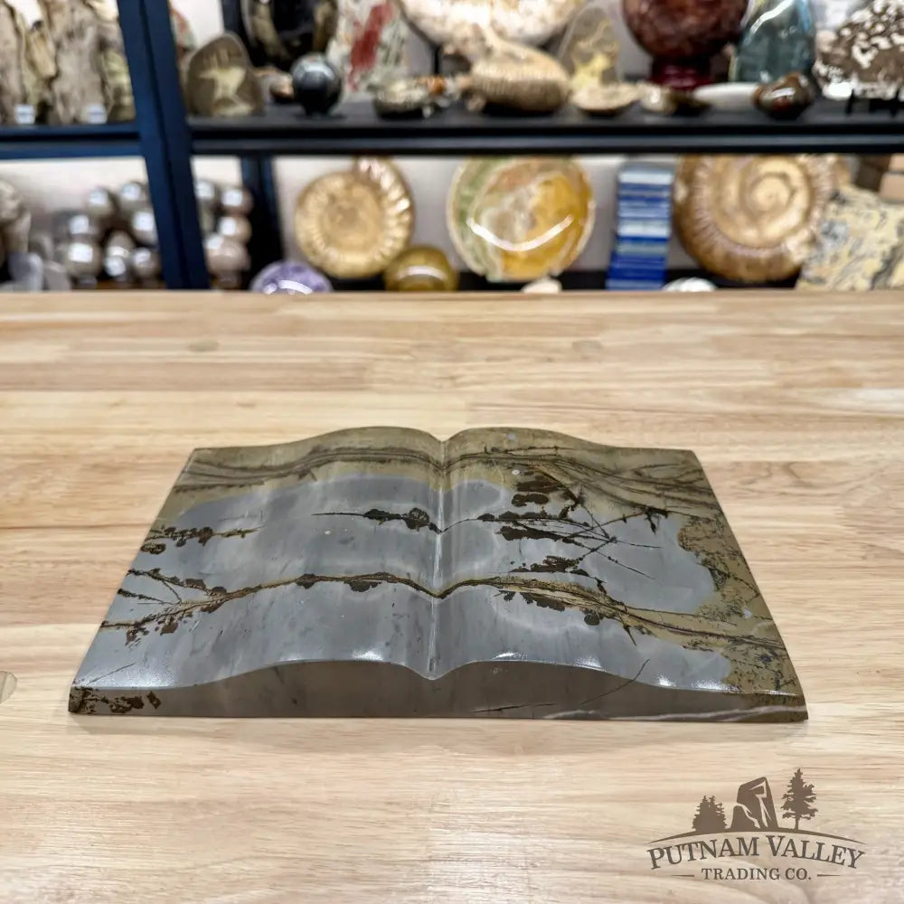 Chinese Picture Jasper Book Carving + Stand - Accent