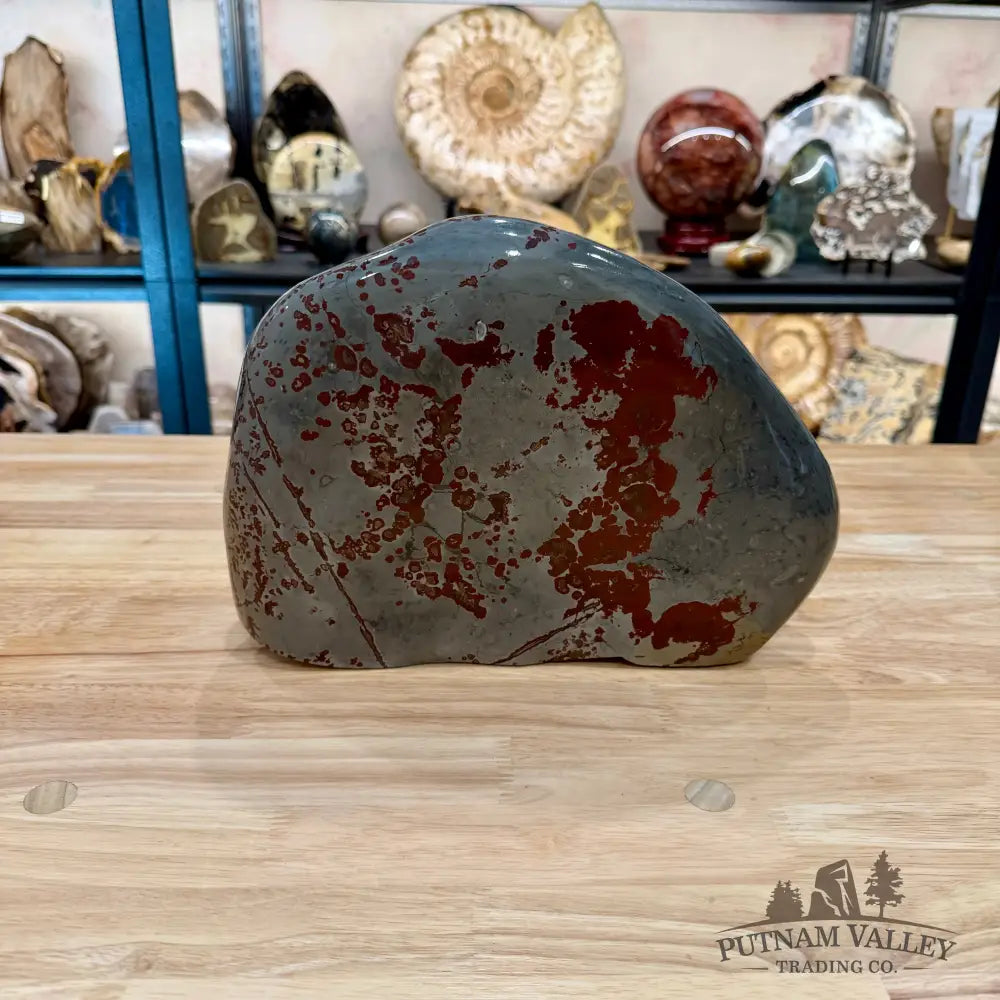 Chinese Picture Jasper Freeform Table Accent 11’’ - Accent