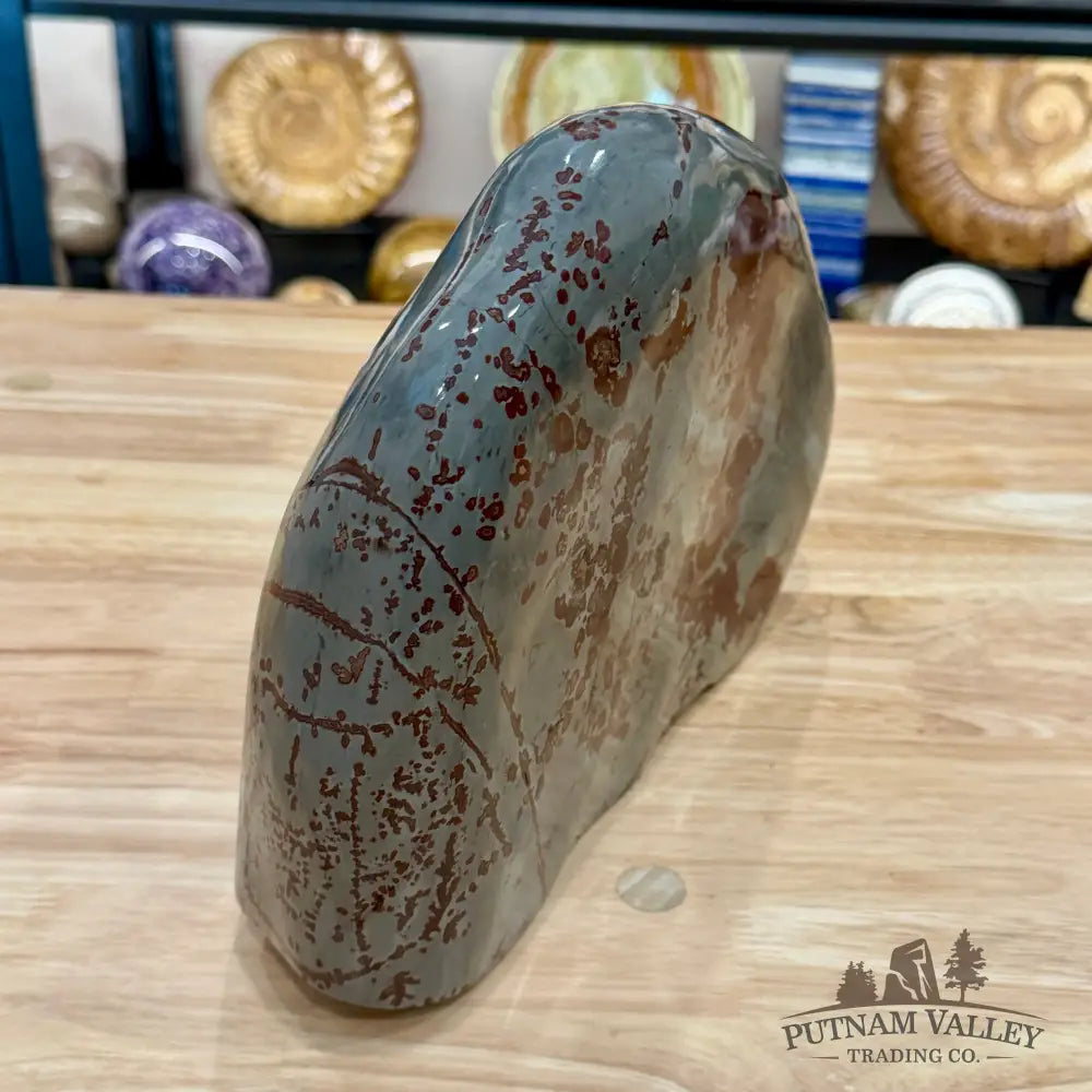 Chinese Picture Jasper Freeform Table Accent 11’’ - Accent
