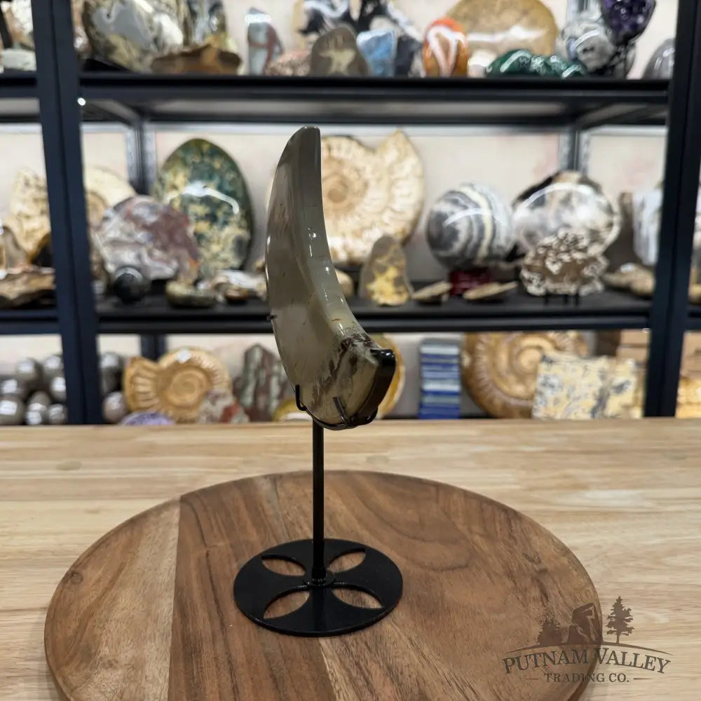Chinese Picture Jasper Moon + Stand - Moon