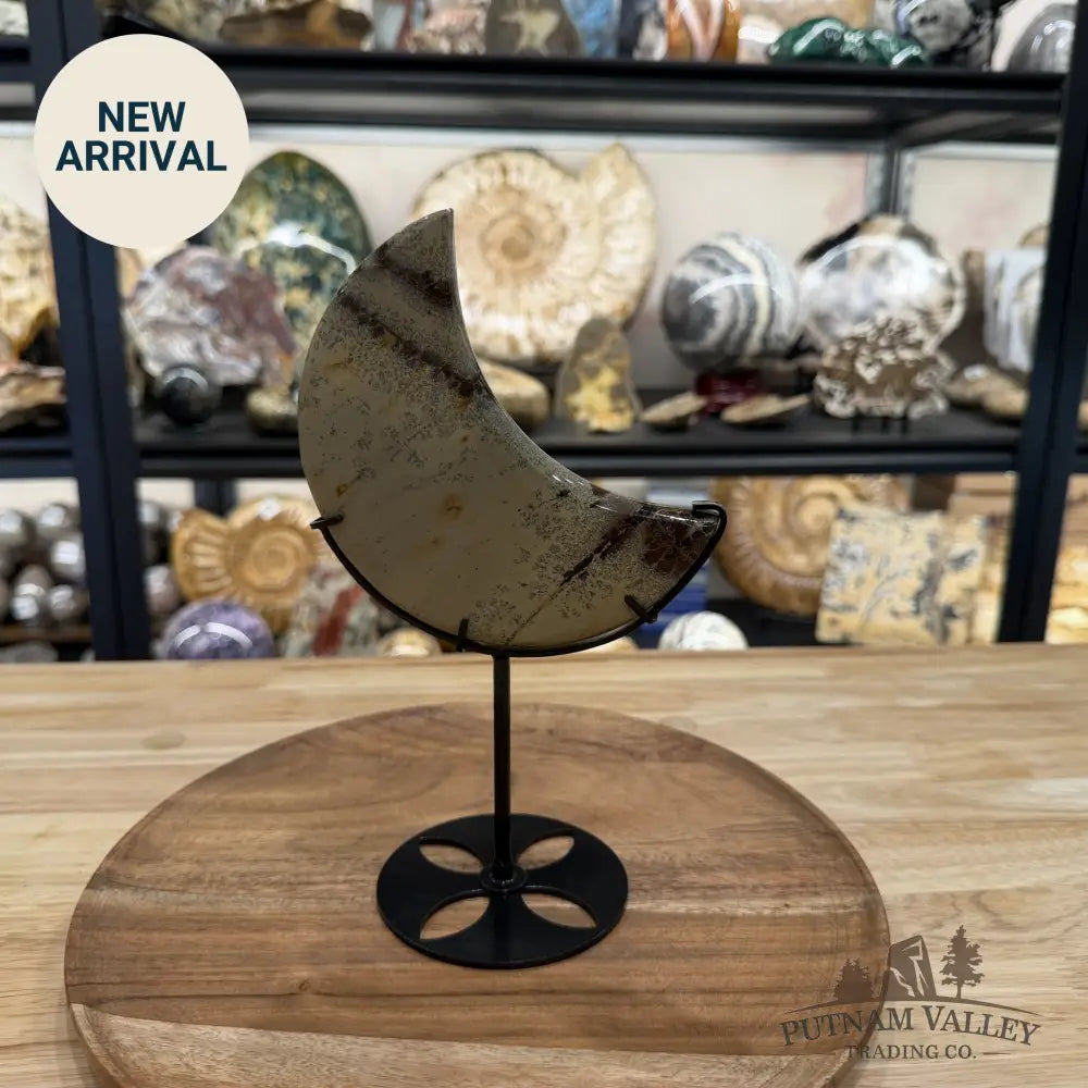 Chinese Picture Jasper Moon + Stand 3 - Accent