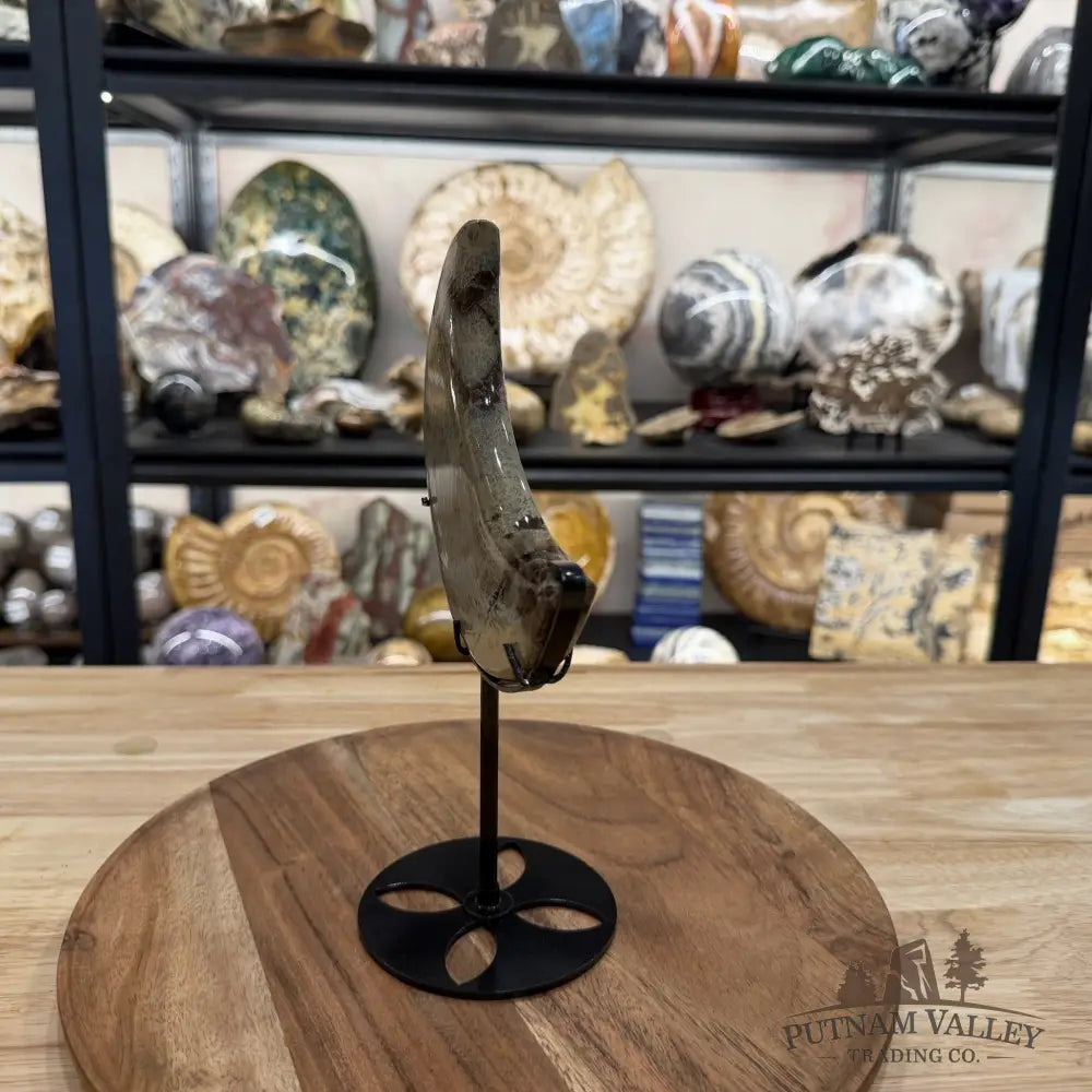 Chinese Picture Jasper Moon + Stand 3 - Accent