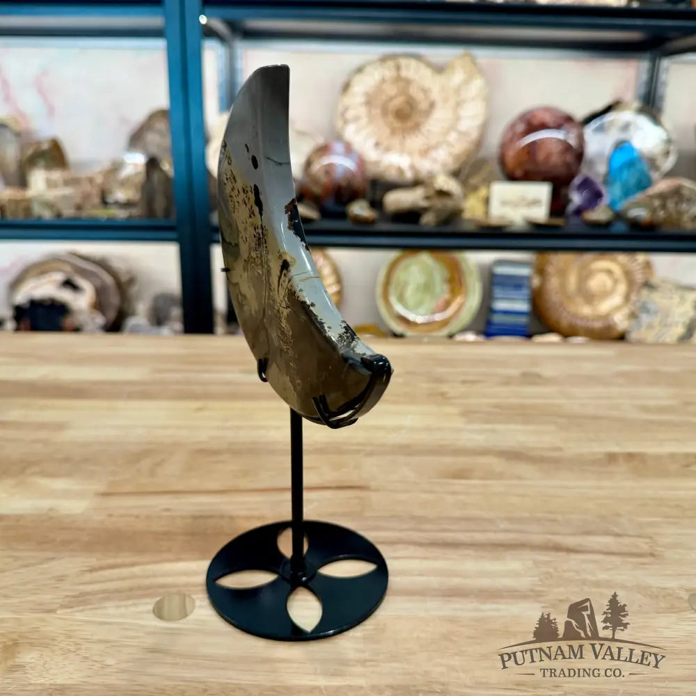 Chinese Picture Jasper Moon + Stand 9.13’’ - Accent