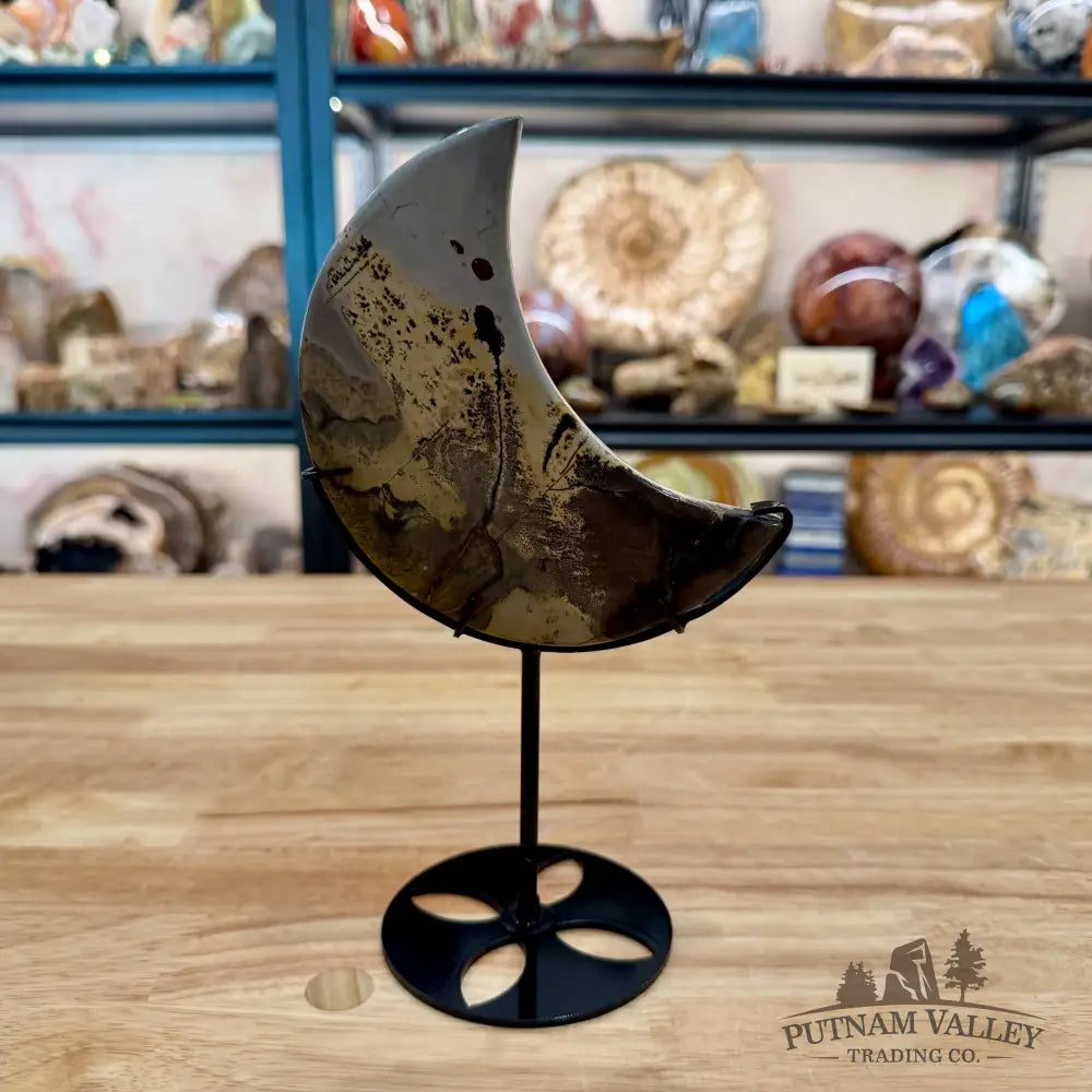 Chinese Picture Jasper Moon + Stand 9.13’’ - Accent