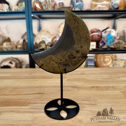 Chinese Picture Jasper Moon + Stand 9.25’’ - Accent