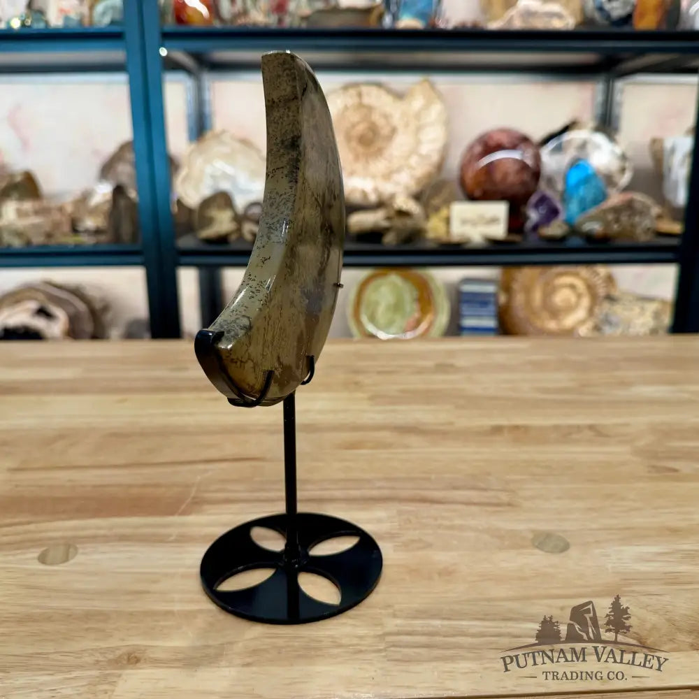 Chinese Picture Jasper Moon + Stand 9’’ - Accent