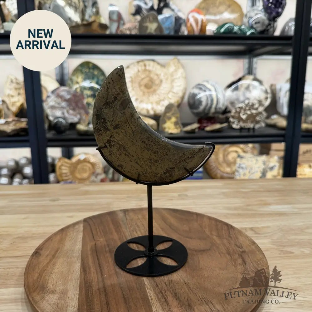 Chinese Picture Jasper Moon + Stand - Accent