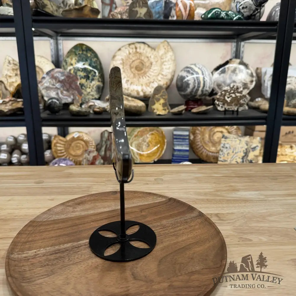 Chinese Picture Jasper Moon + Stand - Accent