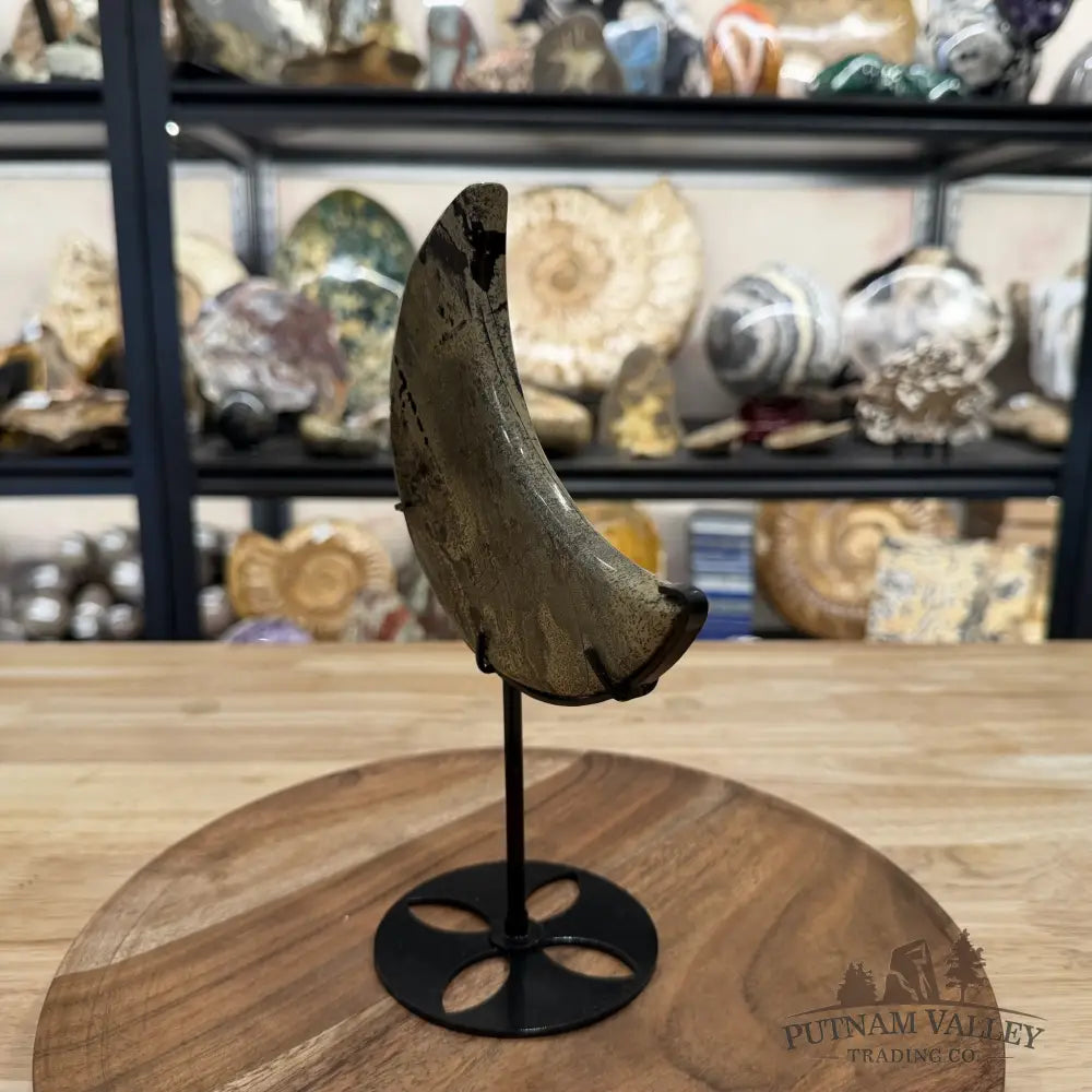 Chinese Picture Jasper Moon + Stand - Accent