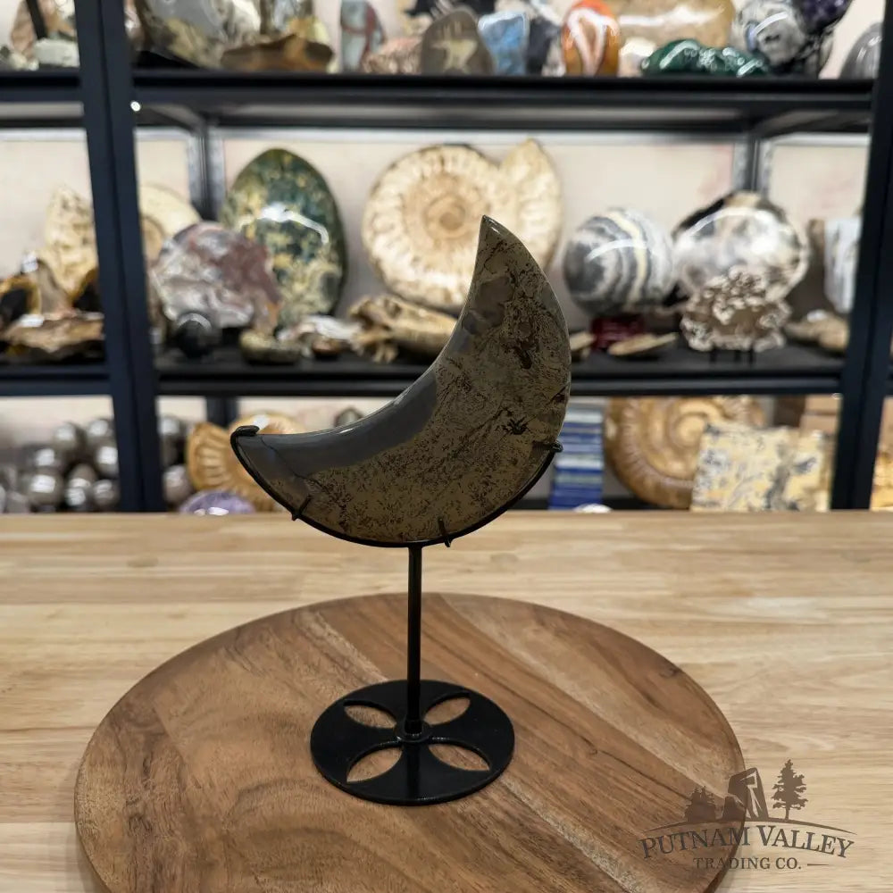 Chinese Picture Jasper Moon + Stand - Accent