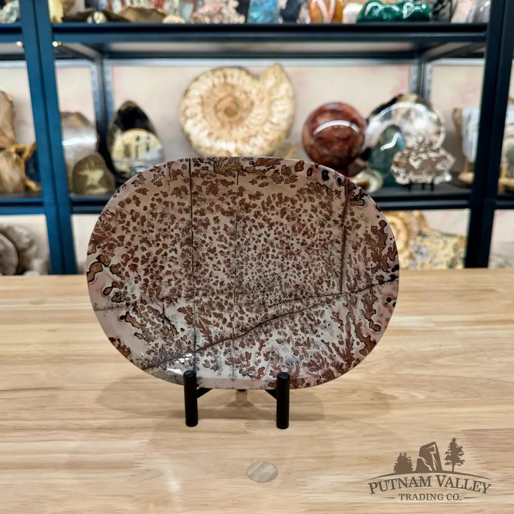 Chinese Picture Jasper Oval Dish 8.51’’ - Plate