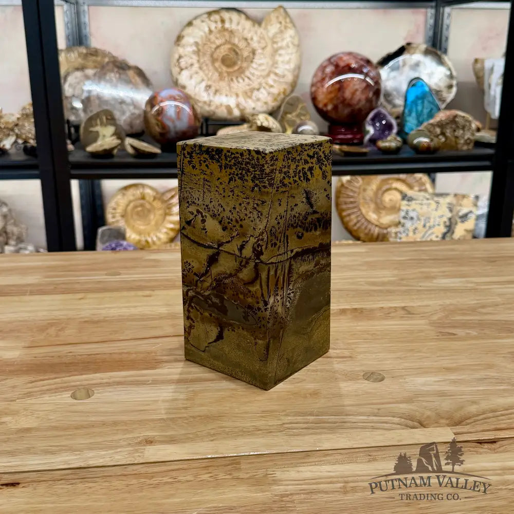 Chinese Picture Jasper Pillar Accent 8’’ Accent