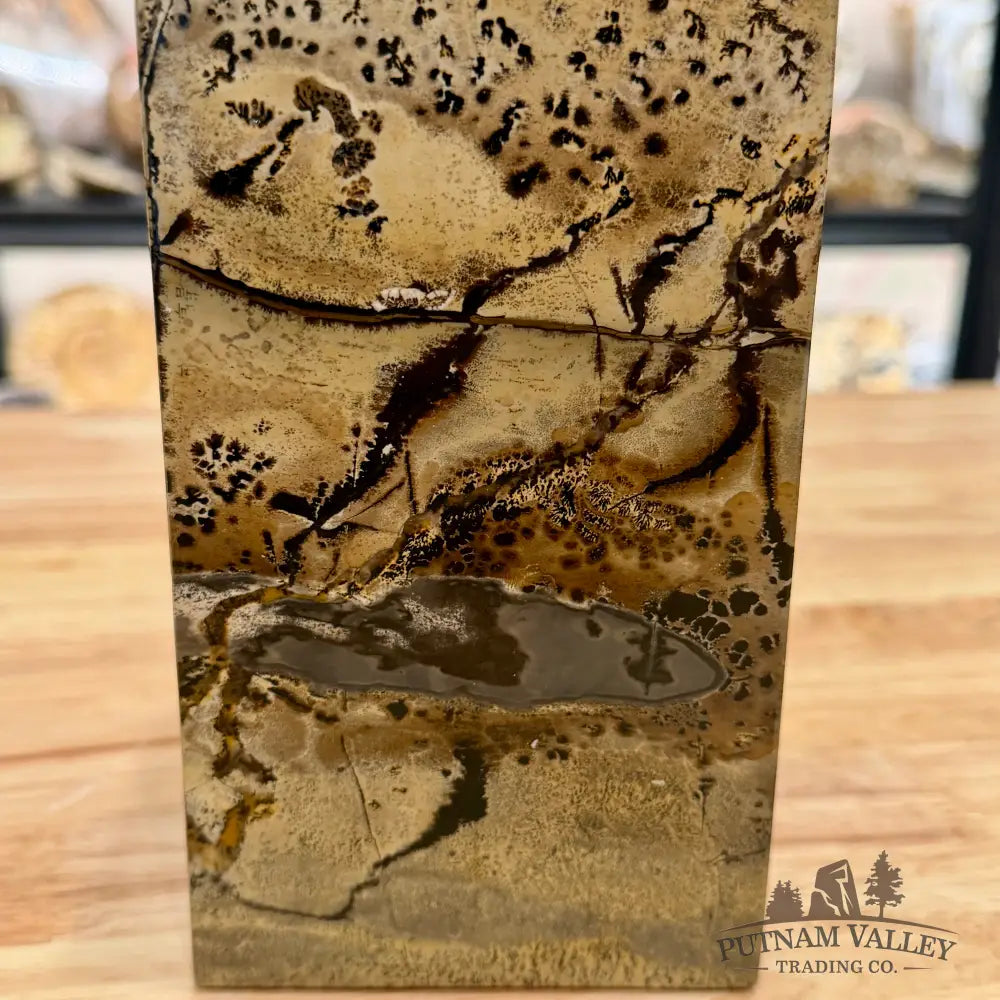 Chinese Picture Jasper Pillar Accent 8’’ Accent