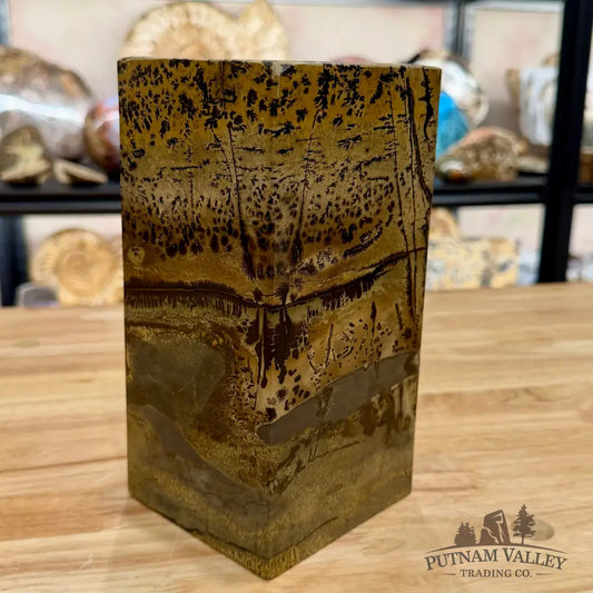 Chinese Picture Jasper Pillar Accent 8’’ Accent