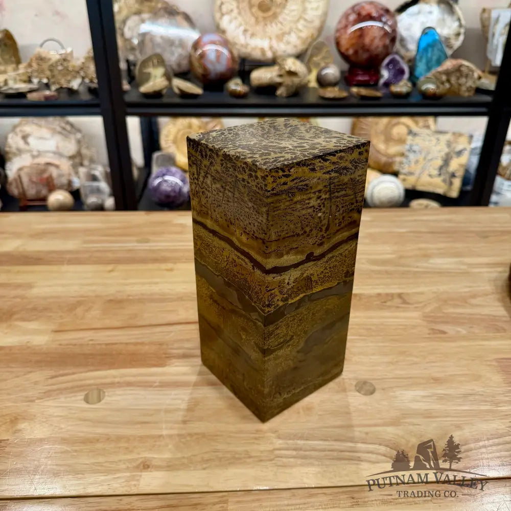 Chinese Picture Jasper Pillar Accent 9.2’’ Accent