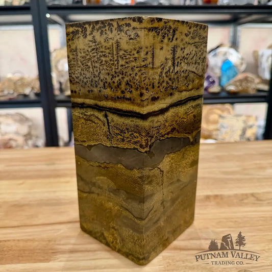 Chinese Picture Jasper Pillar Accent 9.2’’ Accent