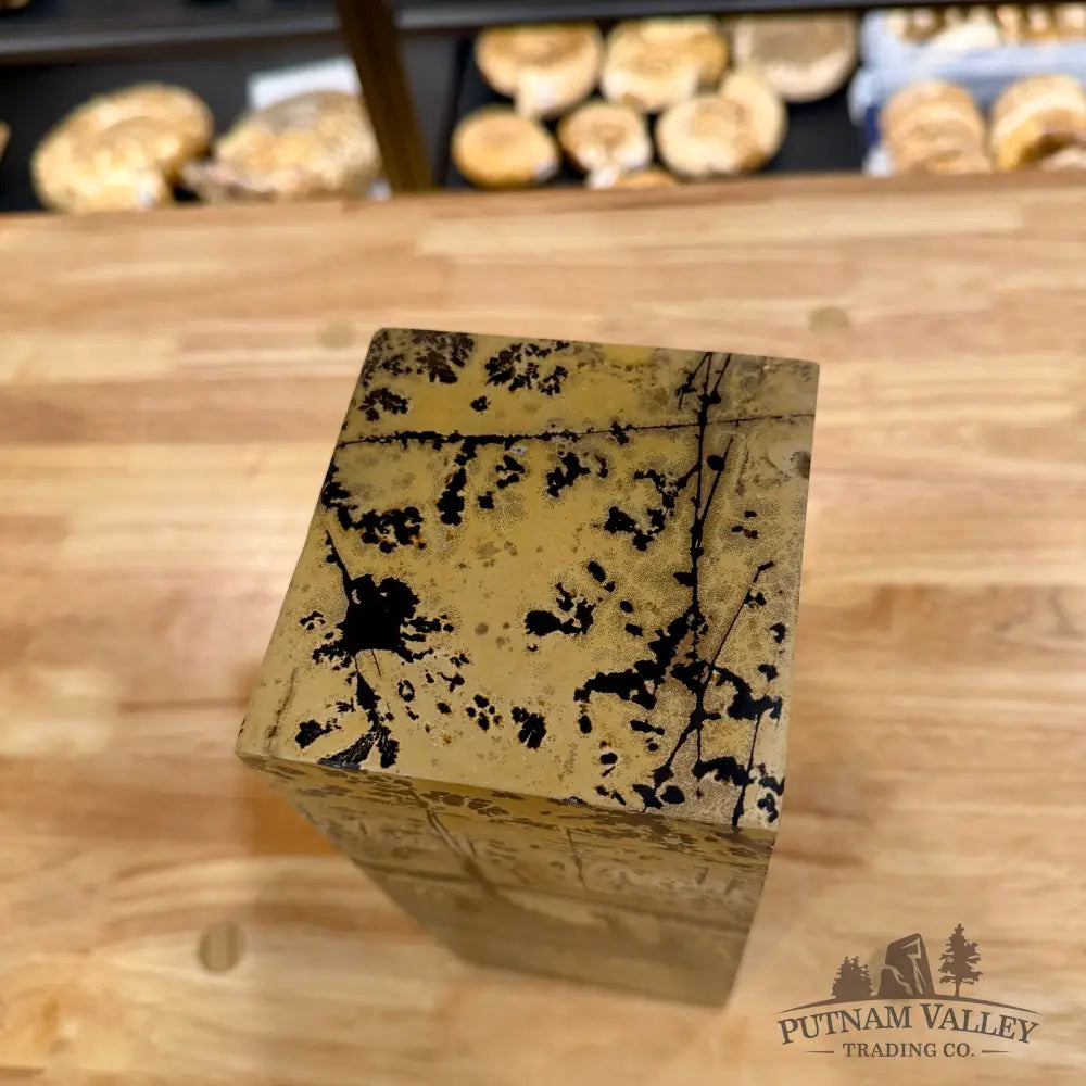 Chinese Picture Jasper Pillar Accent 9.5’’ Accent