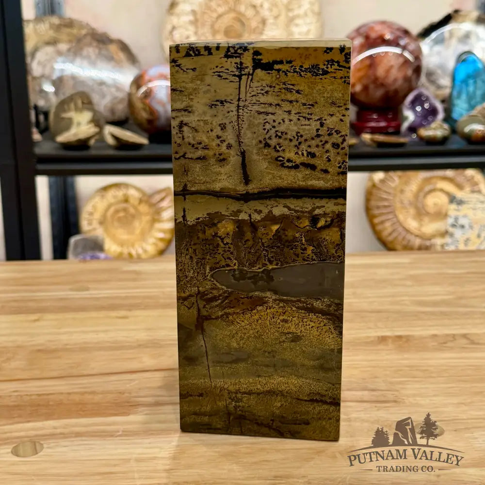 Chinese Picture Jasper Pillar Accent 9.5’’ Accent