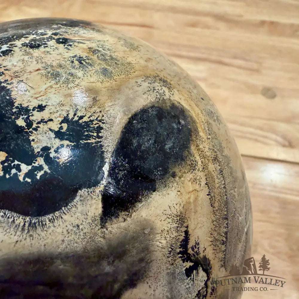 Chinese Picture Jasper Sphere 6.28’’ | 11lb - Sphere