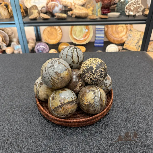 Chinese Picture Jasper Spheres - 2.71’’ - 3’’ - Sphere