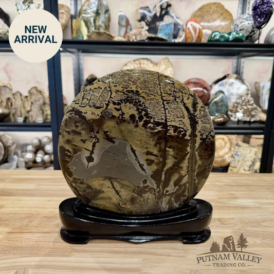 Chinese Picture Jasper Table Accent 11.5’’ - Accent