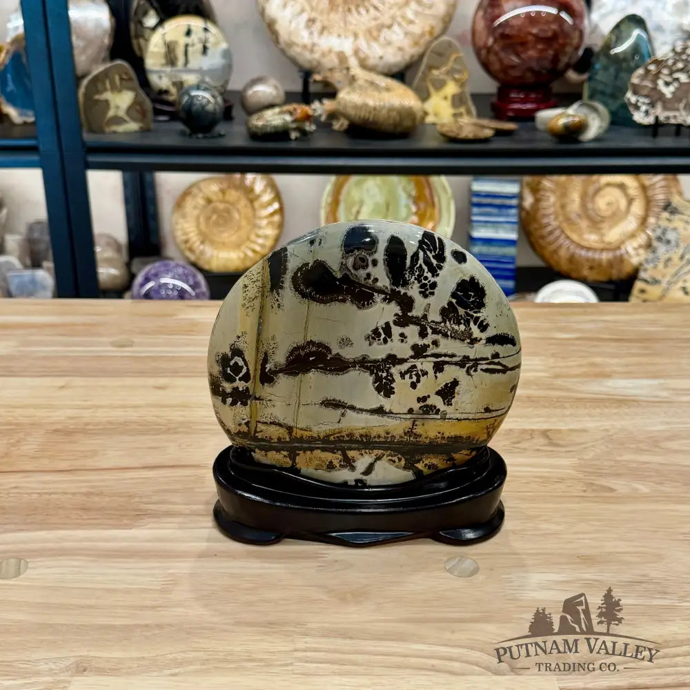 Chinese Picture Jasper Table Accent 7.5’’ - Accent