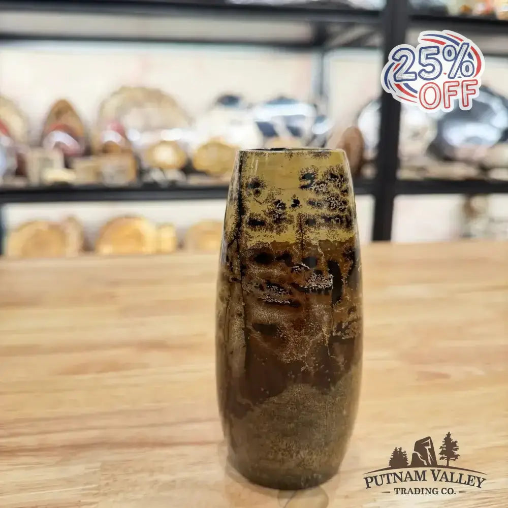 Chinese Painting Stone Torpedo Vase - Putnam Valley Trading Co.