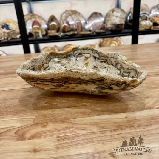 Chocolate Mexican Onyx Rustic Bowl Bowl