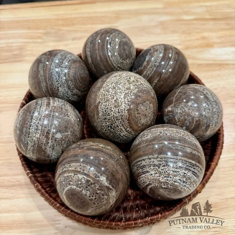 Chocolate Picture Jasper Spheres | In Select Sizes - 2.41’’ - 2.7’’ - Sphere
