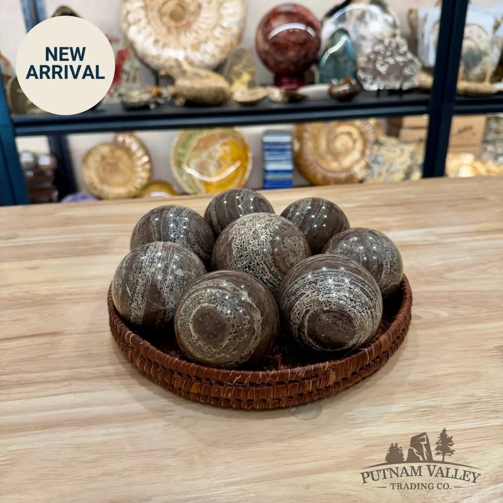 Chocolate Picture Jasper Spheres | In Select Sizes - Sphere