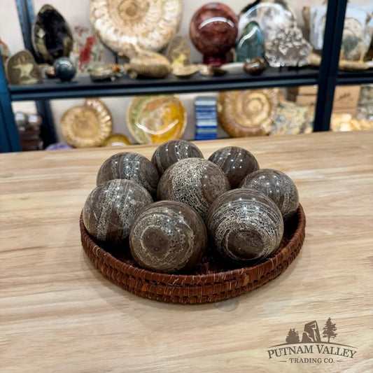 Chocolate Picture Jasper Spheres | In Select Sizes - Sphere