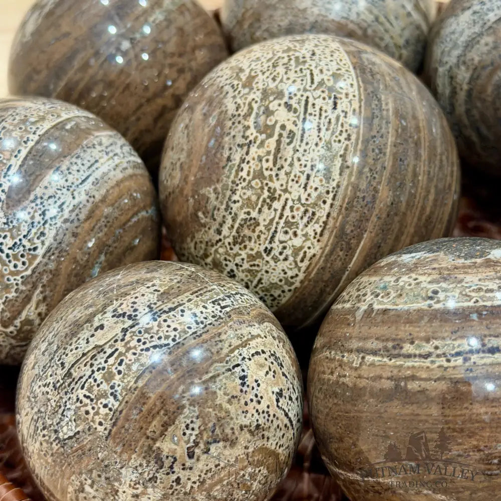 Chocolate Picture Jasper Spheres | In Select Sizes - Sphere