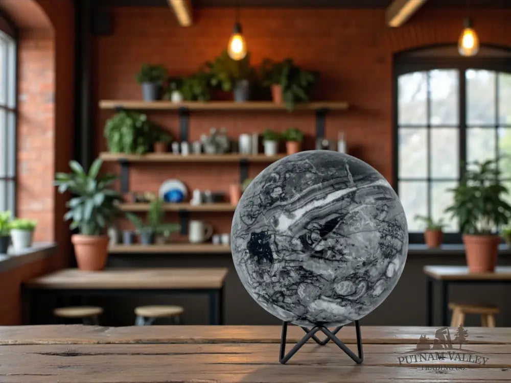 Conch Fossil Sphere Sphere