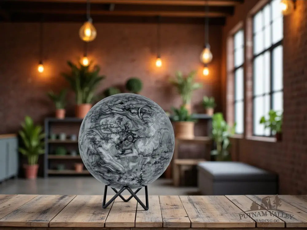 Conch Fossil Sphere Sphere