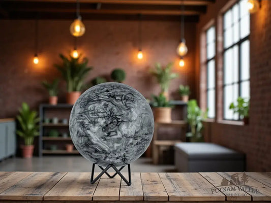 Conch Fossil Sphere Sphere