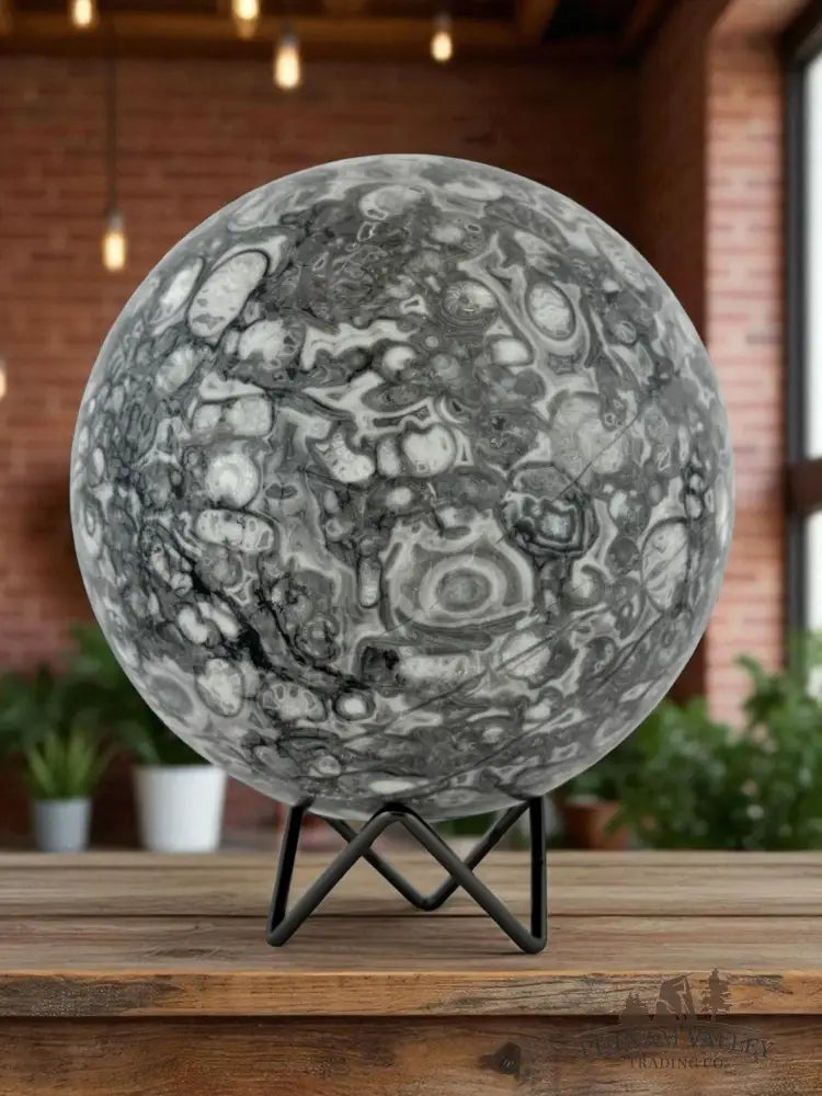 Conch Fossil Sphere Sphere