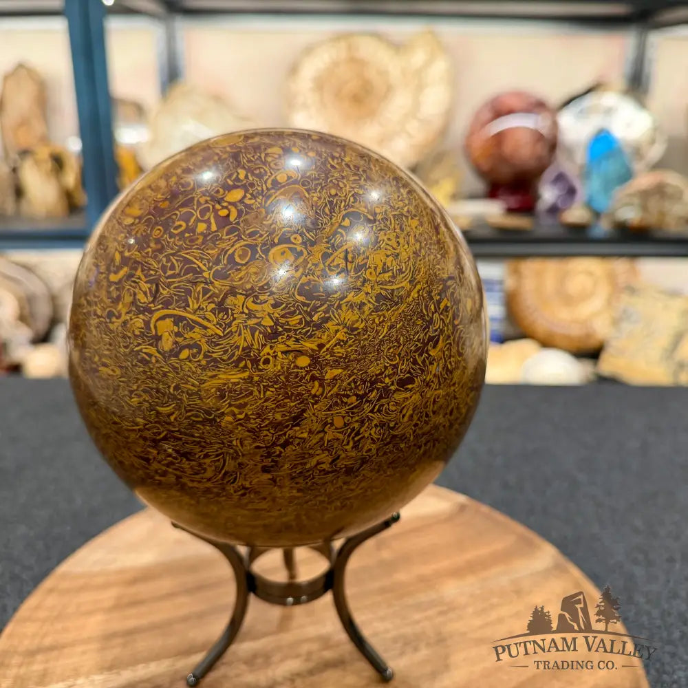 Coquina Jasper Sphere 5.86’’ | Mariam Stone - Sphere