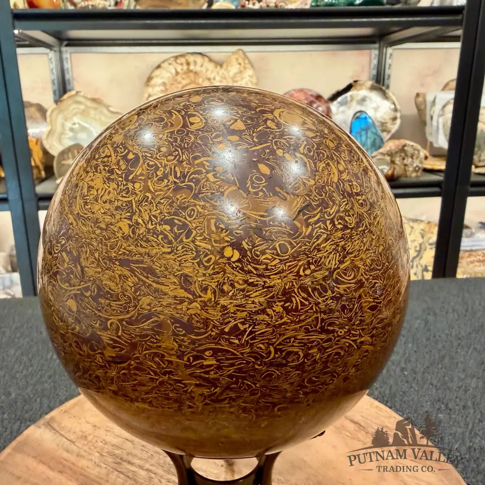 Coquina Jasper Sphere 5.86’’ | Mariam Stone - Sphere