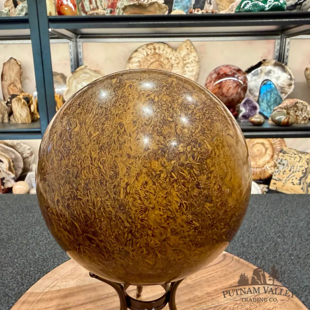 Coquina Jasper Sphere 5.86’’ | Mariam Stone - Sphere